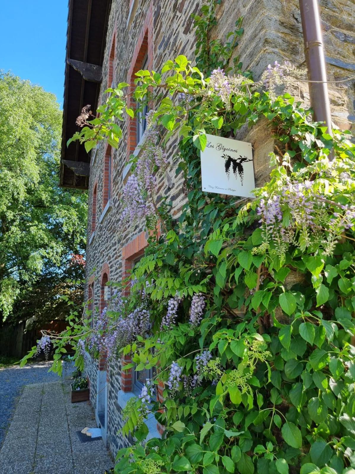 Vila Les Glycines Gouvy Exteriér fotografie